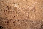 Chad, Gaora Hallagana, Ennedi, Sahara. An ancient rock painting of a cow on the wall of a sandstone rock shelter.