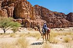 Chad, Elikeo, Ennedi, Sahara. A Toubou tribesman rides on his camel.