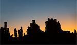 Chad, Abaike, Ennedi, Sahara. A striking cluster of weathered sandstone columns at dawn.