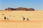 Chad, Deli, Ennedi, Sahara. Toubou horsemen ride their horses across the arid plains near Deli.