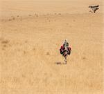 Chad, Deli, Ennedi, Sahara. A lone Toubou Nomad rides his camel through arid plains near Deli