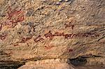 Chad, Terkei East, Ennedi, Sahara. A rock art panel on sandstone of cattle, horses and riders.