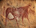 Chad, Terkei East, Ennedi, Sahara. A large bichrome painting of cows and a figure holding a lance on the ceiling of a vast rock shelter.