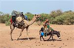 Chad, Mongo, Guera, Sahel.  A Chadian Arab Nomad woman and her young children move with their possessions to new pasture.