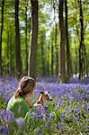 UK, Wiltshire. A young lady enjoys the beauty of the bluebell woods with her pet whippet.