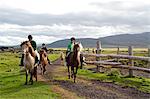 Children on a horse riding trip near Husavik, Northern Iceland.