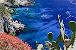 Italy, Campania, Napoli district, Capri.