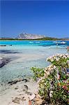 Olbia Tempio district, Area Marina Protetta Tavolara Punta Coda Cavallo, Lu impostu beach.