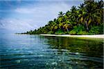 Tropical island and lagoon, Maldives, Indian Ocean