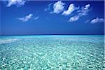 Clear Turquoise Water of the Indian Ocean, Maldives