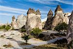 Group of fairy chimneys "Pasabagi" - typical rock formation in Goreme, Cappadocia, Turkey