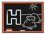 Illustration of alphabet letter H with a cute little Hippopotamus on water on blackboard. H is for Hippo.