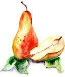 Watercolor Illustration of pears