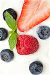 Different berries in cream against a white background