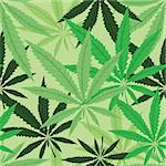 Green hemp floral seamless background, cannabis leaf background texture. Vector marijuana leaves illustration.