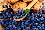 Homemade muffins with fresh blueberries on wooden spoon