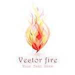 beautiful bright flame of fire on white background