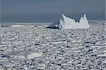 Iceberg in Antarctic Ocean - 3.