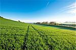 Pasture along the Irrigation Canal and Dam in Switzerland