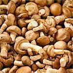 Edible mushrooms on the counter of thai market