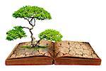 The big tree growth from a book with cracked ground texture, Global warming concept