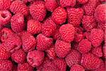 Ripe Berry Red Raspberry, closeup, backdrop