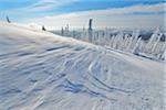 Peak of Mount Lusen with Blowing Snow in Winter, Grafenau, Bavarian National Park Bavarian Forest, Bavaria, Germany