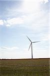 windwheel on a field, Orleans, Loiret, Central Region, France