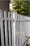 Close-up of wooden fence, Arcachon, Gironde, Aquitaine, France