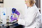 Laboratory scientist hand mixing reagents in water sample flask