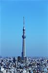 Tokyo Sky Tree and cityscape