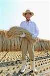 Farmer with rice ears