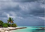 Tropical island and Palm Tree, Huvadhu Atoll, Maldives, Indian Ocean, Asia