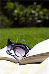 Sunglasses on book in grassy field