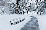 Bench in snowy urban park