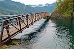 Woman taking picture on wooden bridge