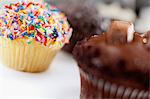 Decorated cupcakes on counter