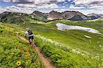 Mountain biker on green trail