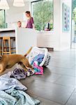 Dog making mess in kitchen