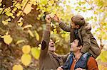 Three generations of men admiring leaves