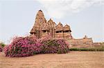 Flowering Bougainvillea near a temple, Lakshmana Temple, Khajuraho, Chhatarpur District, Madhya Pradesh, India