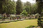 Company Bagh in Mussoorie, Uttarakhand, India