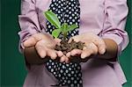 Mid section view of a businesswoman holding a seedling