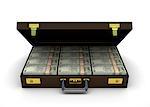 Indian currency notes in a briefcase