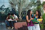 University students discussing on a book in university campus