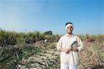 Farmer harvesting sugar cane field with a sickle, Sonipat, Haryana, India