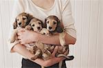 Woman holding puppies