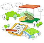 Illustration of frog for scientific experiment with books