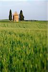 Chapel of Vitaleta with Cypress Trees in green field, Val d´Orcia, Siena Province, Tuscany, Italy.