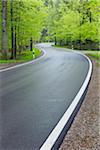 Winding road through forest in spring with lush green foliage. Bavaria, Germany.